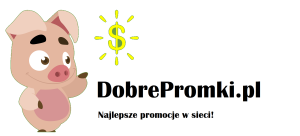 logo header swinka pieniądze